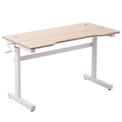 Standing Desk 120x60x72-117 Cm with Manual Height Adjustment Crank Computer Table for Office Study Living Room Racing Style Load 150 Kg Natural