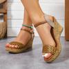 2026 New Women Wedges Sandals Platform Outdoor Dress Shoes Open Toe Buckle Strap Sandals Round Toe High Heels Shoes for Women