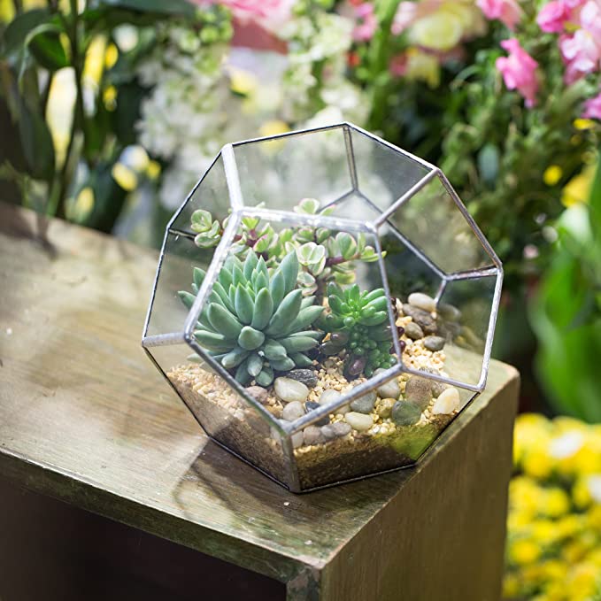 Mini Glass Geometric Terrarium Container Gold Terrarium Set Glass Flower Pot Planter Vase Bowl Display Box Decor