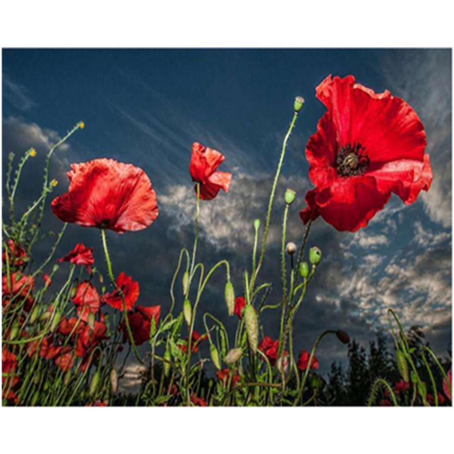 Full 5D Diy Diamond Painting Beautiful Flower Diamond Embroidery Full Lay Anime Cross Stitch Kits Home Decor Handmade Gift