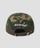 Dickies Big Logo Washed Ball Cap Camo