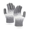 Autumn and Winter New Gloves Women's Knitted Wool Five-finger Warm Gloves Piled Thickened Touch Screen Gloves Men