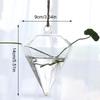 1 STÜCK Transparente Hydrokultur-Pflanzenvasen Terrariumbehälter Hängende Glasvase Blumentopf