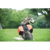 Pet Outdoor Backpack Large Dog Reflective Adjustable Saddle Bag Harness Carrier for Traveling Hiking Camping Safety