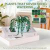 Forever Plant Beading Kit Translucent Permanent Faux Decor Kit Diy Beading Material Kit No-Wilt For Balcony Home Decor Hanging