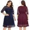 Stylish and Versatile Midi Dress In Plus Size with Semi-Sheer Sleeves
