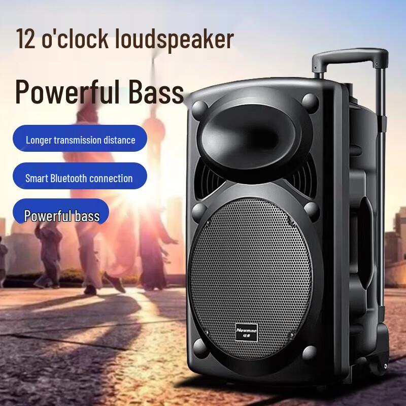 Newsmy 12-inch Portable Bluetooth Trolley Speaker (CN Version)