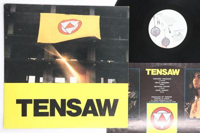 LP Plaat TENSAW Tensaw C28A0118 SEESAW 1980 Japan Japanse PopRock Gebruikt