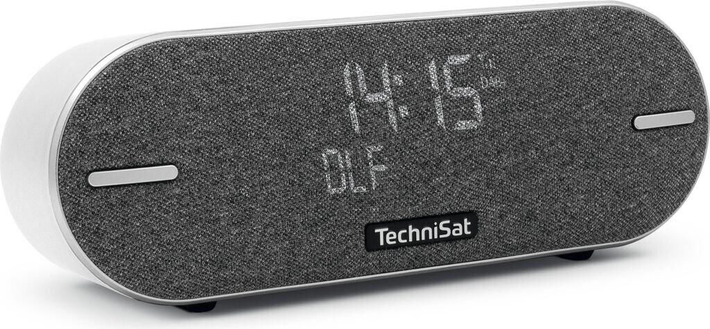 Портативное радио TechniSat DigitRadio BT 2 lichtgrau