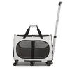 Portable Foldable Pet Carrier for Two Cats with Breathable Design and Large Capacity