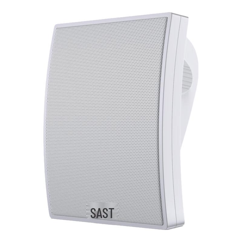 SAST Commercial Wall-Mounted Public Address Speaker CN plug (adapter included)