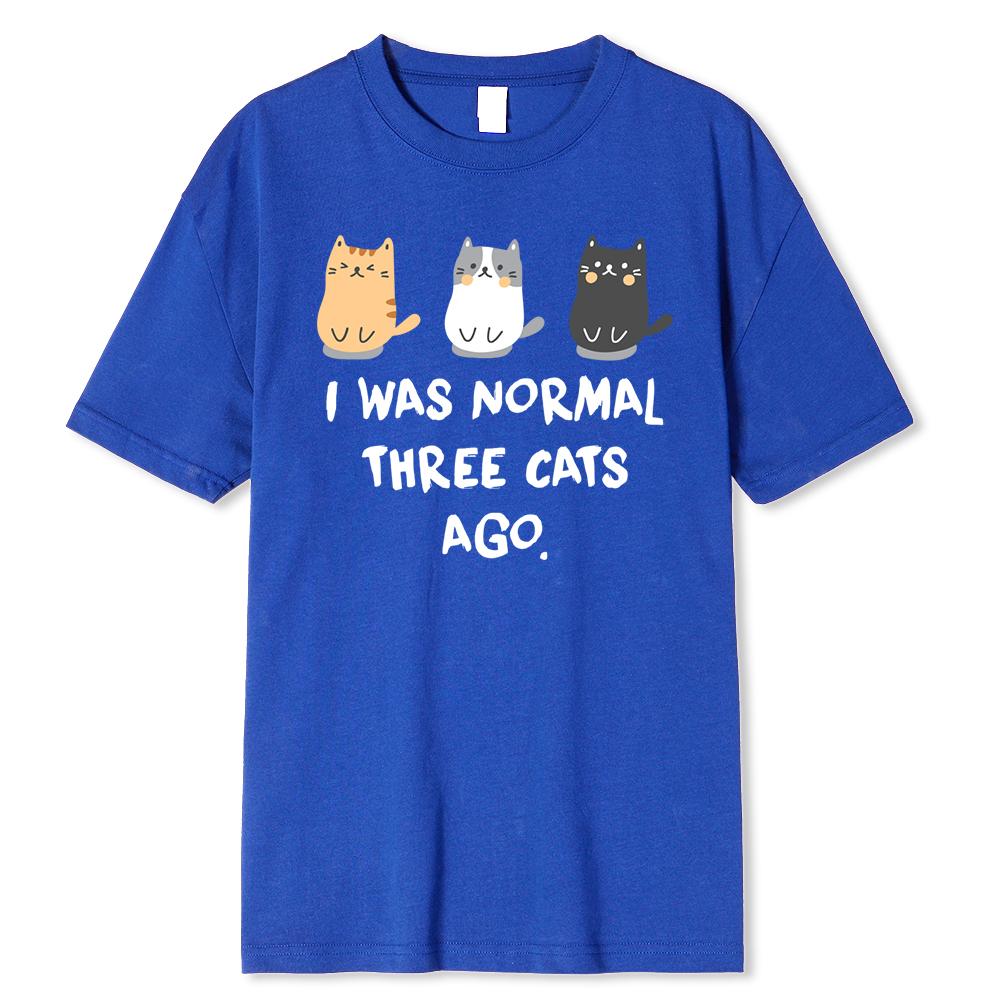Byl jsem normální před třemi kočkami Pánské tričko s potiskem Ležérní trička Harajuku Oversize tričko Volné prodyšné tričko Oblečení