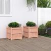 VidaXL Planters 2 Pcs Solid Douglas Wood 837421