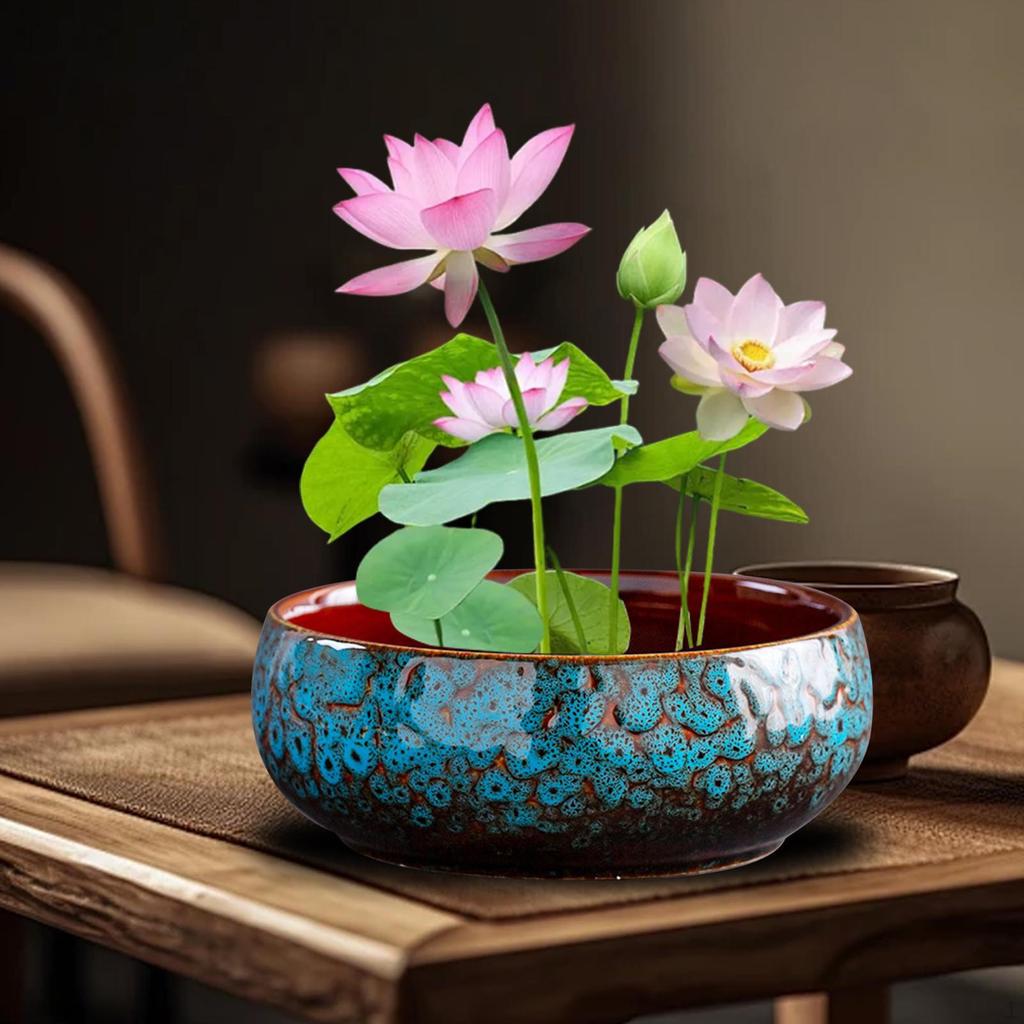 Bonsai Bowl Ceramic Planter for Indoor Plants Lotus Planting In Water Indoors