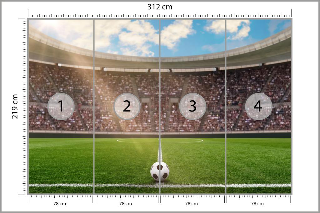 Photomural Soccer Stadium Smooth Vinyl 312x219