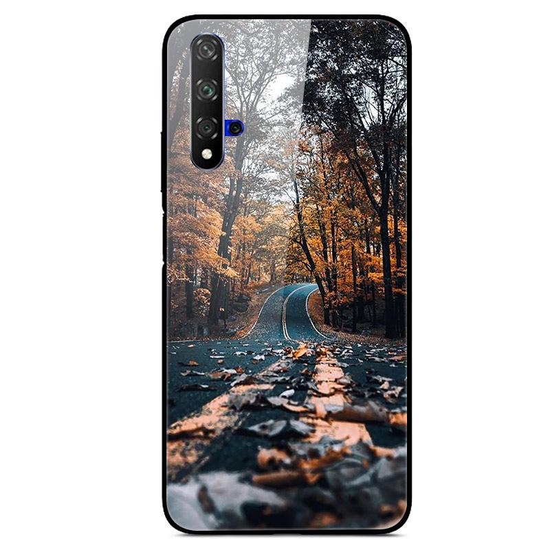 For Huawei Nova 5T Case Tempered Glass Cover 3D Cat Printing Case For Huawei Nova 5T 2019 5 T Phone Case For Huawei Nova5T Cover