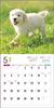 2024 Calendar Golden Retriever (Seibundo Shinkosha Calendar)