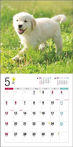 2024 Calendar Golden Retriever (Seibundo Shinkosha Calendar)