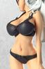 [Limited to 500 units] Eve Nicle 2 "Charlotte Bronte" Underwear Ver. 1/6 Scale Painted Complete Figure