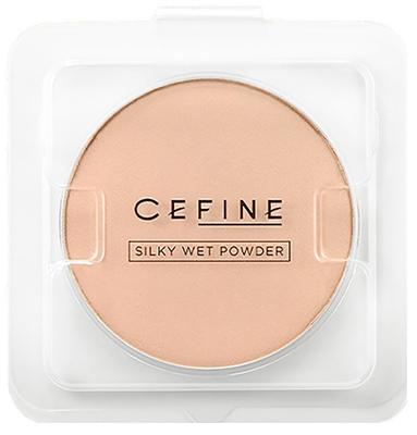 Make-up na obličej – Pudry