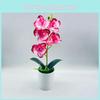 Silk Phalaenopsis Aphrodite Plant With Realistic 3d Printing For Living Room Decoration