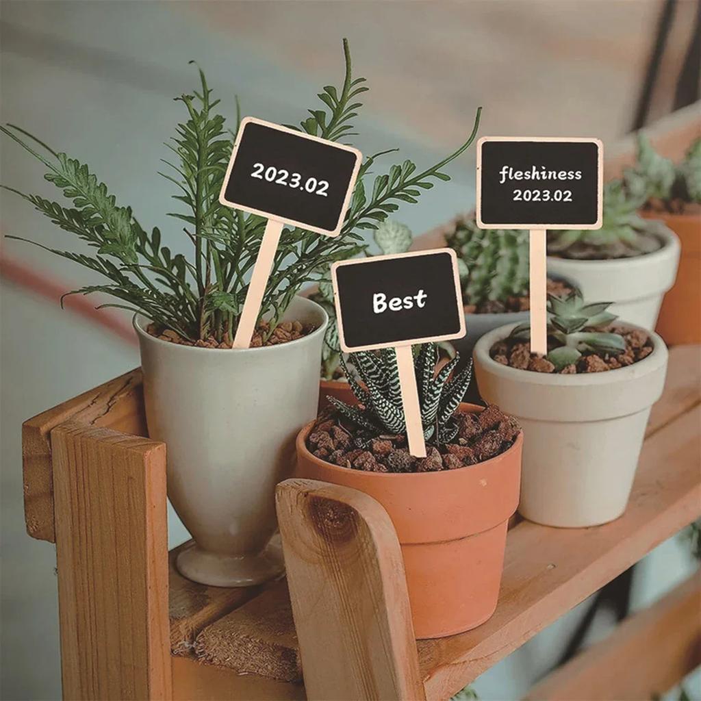 10 Pieces Plant Wood Label Flower Herb Pot Blackboard Vegetable Labels Decor Gardening for Garden Courtyard Balcony