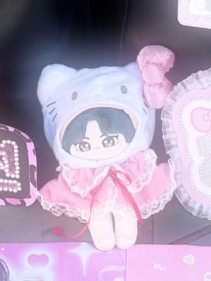 [USED] Jungwon Plush Toy 20cm