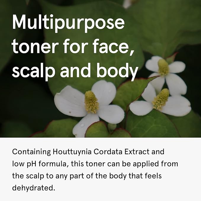 Centella Asiatica Extrakt Toner | Koreanische Hautpflege