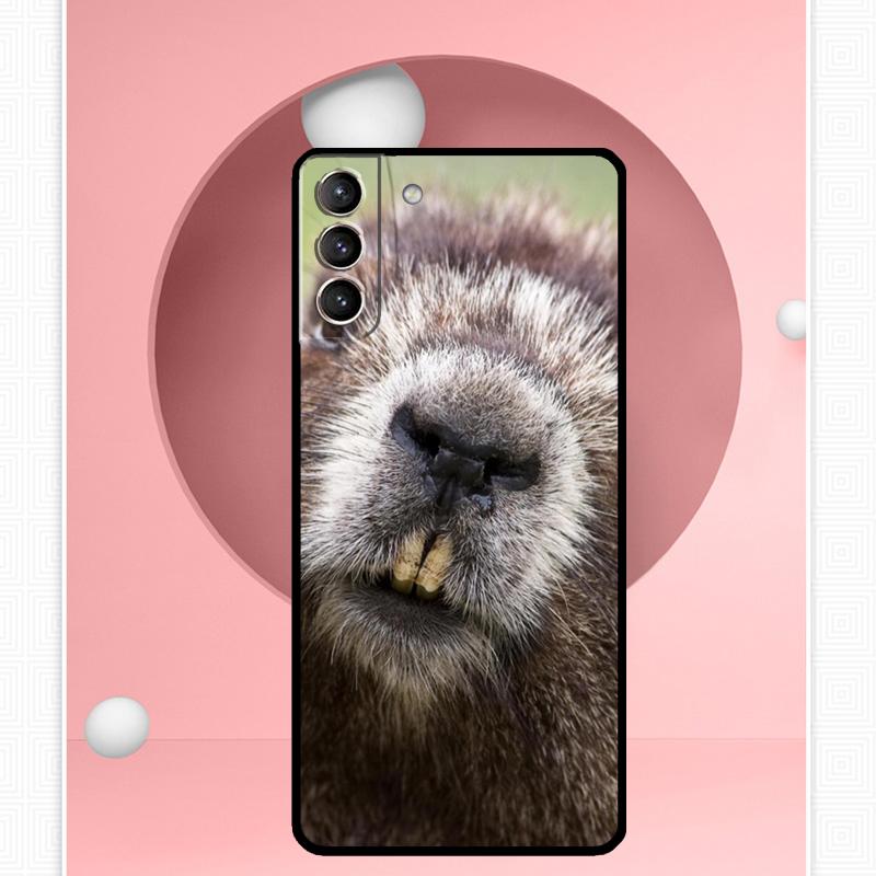 Animal Beaver Case For Samsung Galaxy S22 S23 S24 Ultra Note 20 10 S8 S9 S10 Plus S21 S20 FE Soft Cover
