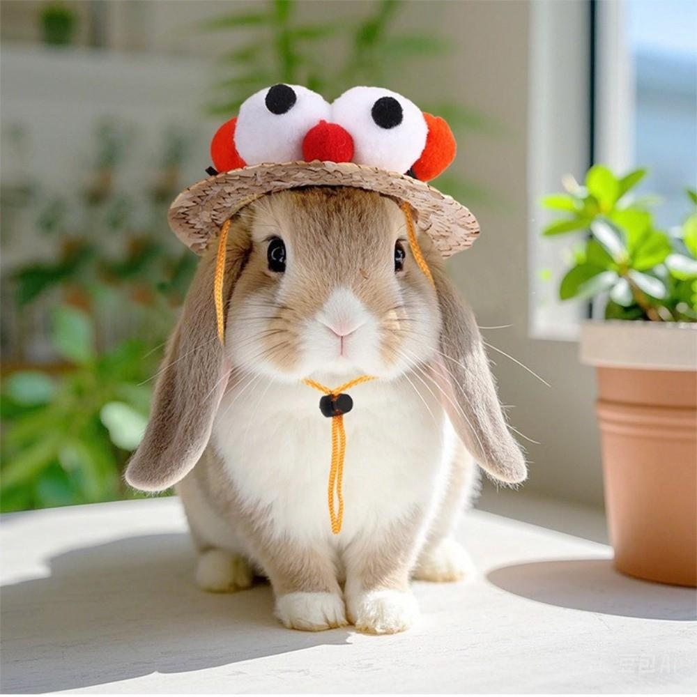 Adjustable Fisherman Hat Elastic Strap Decorative Rabbit Cap Funny Small Pets Hat  Photo Props