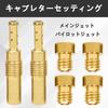 MUFUSHAN (10 Size Set) Pilot Jet Nozzle, Carburetor Jet, Pilot Jet + Main Jets