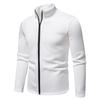 Autumn Men's Zipper Sweatshirt Stand Collar Lightweight Casual Sport Cardigan Comfortable Daily Hoodies