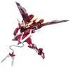 MG Infinite Justice Gundam Suit Gundam SEED 1/100 (Mobile DESTINY)
