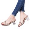 Sandals women's summer 2025 new model, fashionable and versatile outer wear, high-heeled sandals thick-heeled transparent crystal and women's shoes t