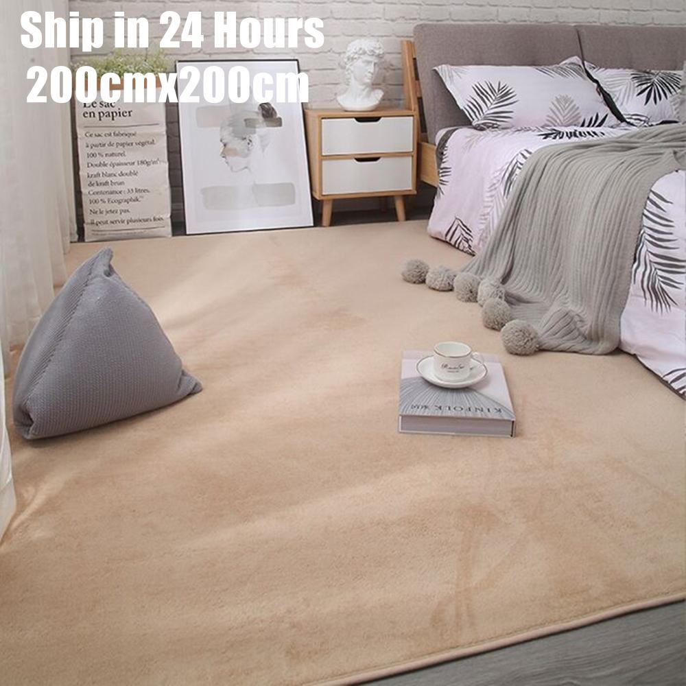 Velké nadýchané severské korálové sametové koberce Koberce do obývacího pokoje Měkké domácí dekorace Ložnice Dětský pokoj Plyšová dekorace Salonový koberec 