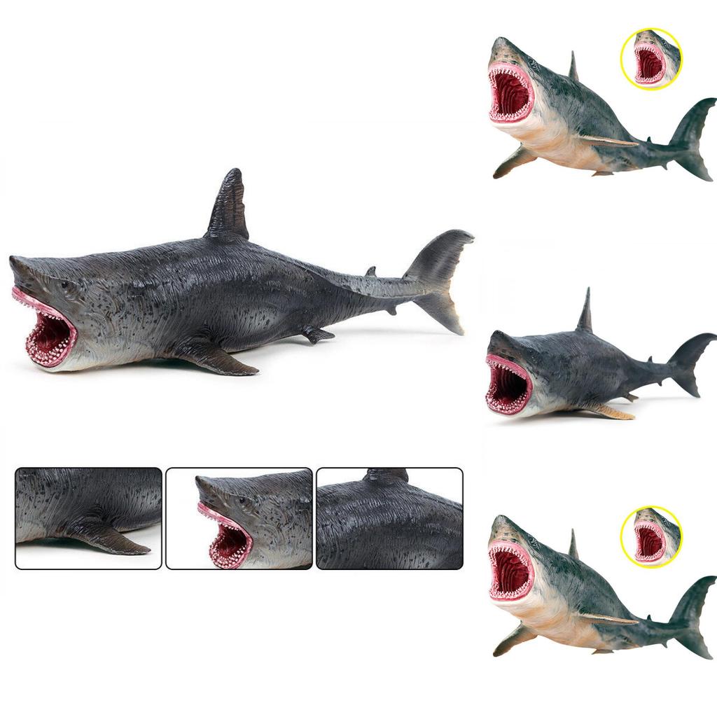 Authentic Megalodon Figure Ancient Shark Wild Animal Pvc Model For Decor And Gifting