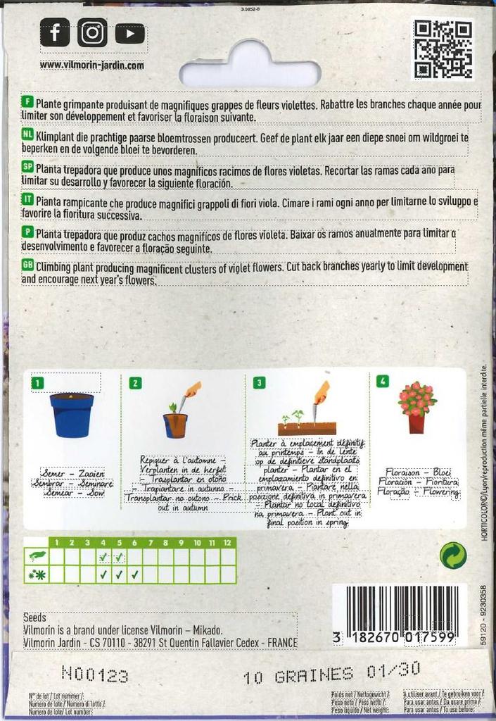 Nasiona Glicyny Wistaria Z Chin