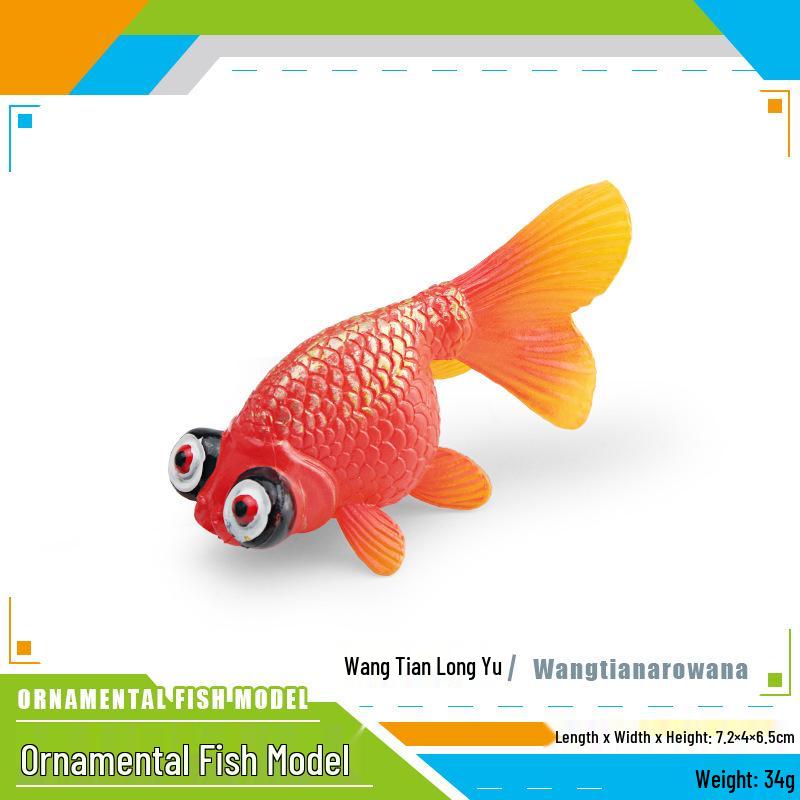 Ornamental Fish Model: Red-crowned Crane & Skygazer Dragon with Water-bubble Eye Shubunkin Goldfish Koi