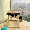 Vintage litinový držák na klíče Odolný proti korozi Nástěnný držák na klíče Netopýří háčky na klíče Dekorace předsíně