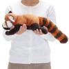 Carolata Red Panda Plush Toy (Large/Nestling Series/Soft Touch) Realistic Animal Toy Doll Gift Present Birthday (Twice Tested) / Christmas Present