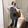 Sleeveless Knitted Vest Women Autumn and Winter Loose Slim Hundred Canvas Pullover Vest Top