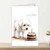10 Cartoon Birthday Card Envelopes Set With A Variety Of Creative Birthday Greeting Cards