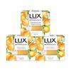 Plant Extract Purifying Citrus Soap