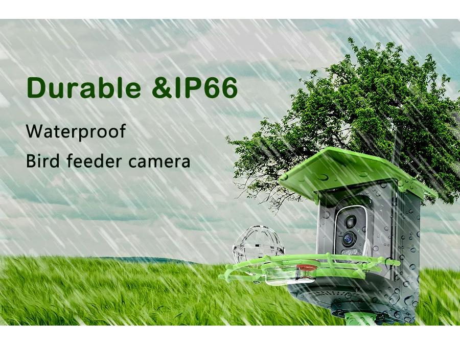 Smart Solar Bird Feeder with AI Recognition and Low Power HD Camera