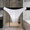 Comfortable Low Waist Men Ice Silk Thongs Underpants Solid Color Men's Panties Underwear T-back Male Briefs Men