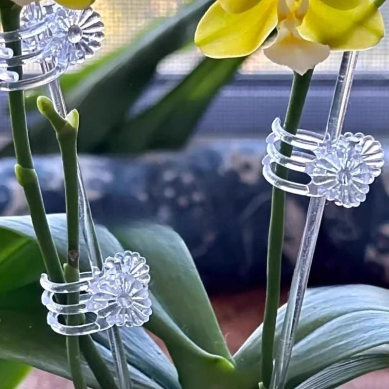Piquets de Support pour Plantes en Acrylique Transparent de 40 cm avec Pinces Tiges de Support pour Fleurs Réutilisables Piquets de Fixation pour Tige Unique d'Orchidée ou Tige de Tomate