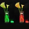 Luce di Controllo Impermeabile 10 LED per Vaso Remoto Sommerso Acquario Matrimonio