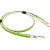 NEO by OYAIDE Elec D+ TS Class B 2.0m Line Cable