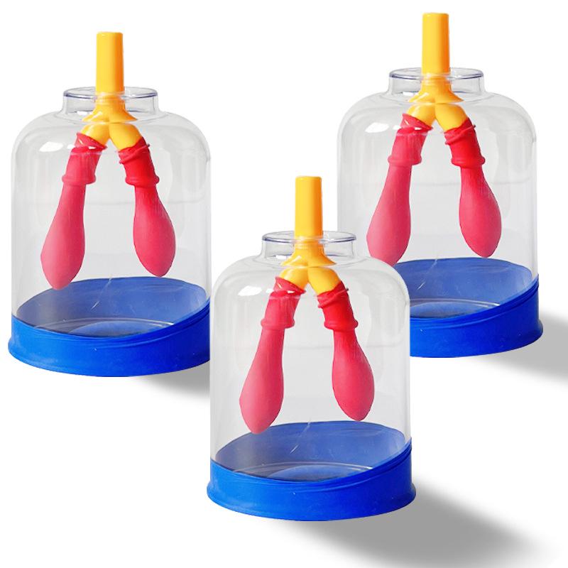 Lung Breathing Simulator: Diaphragm Model for Gas Exchange Physics Experiments