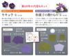 Fun Tsumami Zaiku 68 No. [Encyclopedia] (with kit)